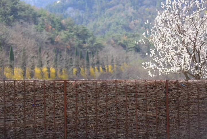 耐候鋼廣告類