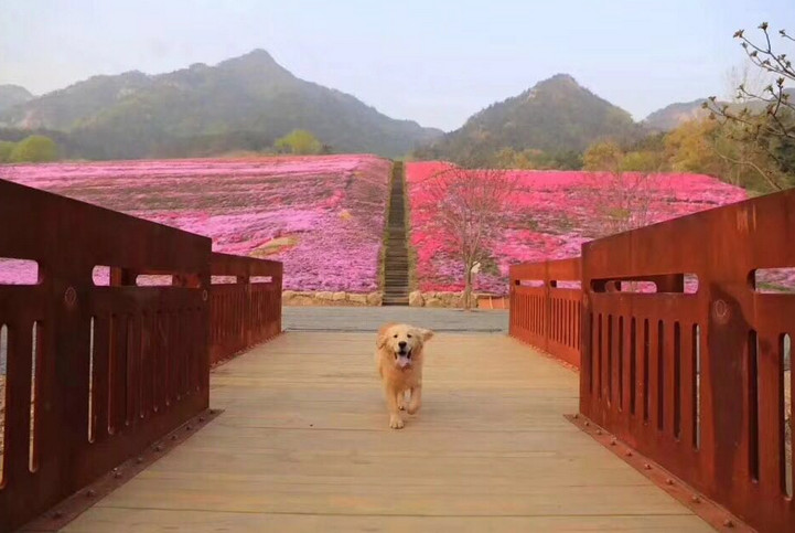 廣告類